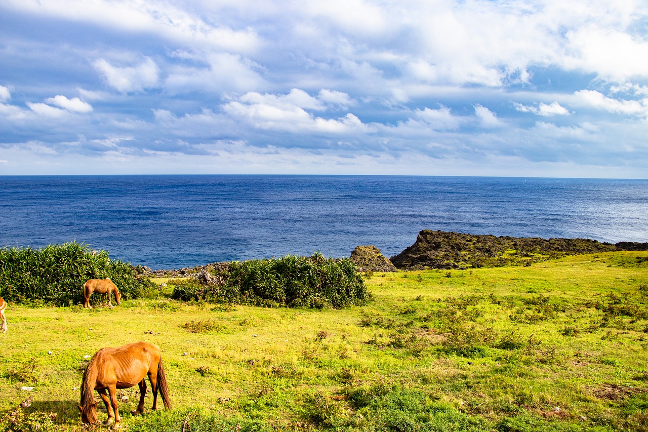 Okinawa